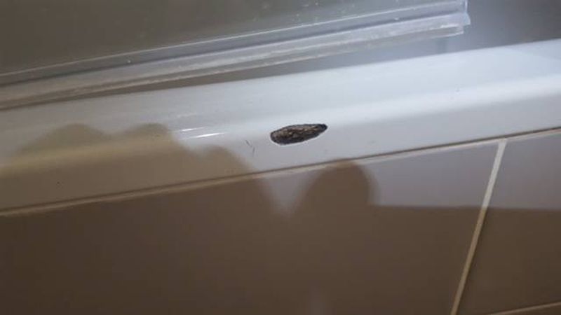 Réparation éclat sur baignoire acier blanche à  St Raphaël dans le var en région paca 83700